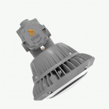 LDXEFD01A系列防爆平臺燈具